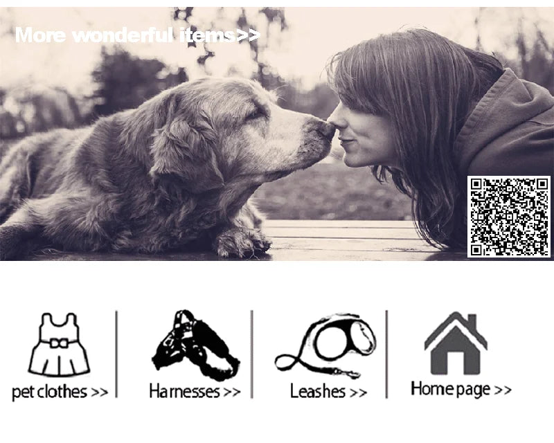 Waterproof Dog Raincoat Jumpsuit