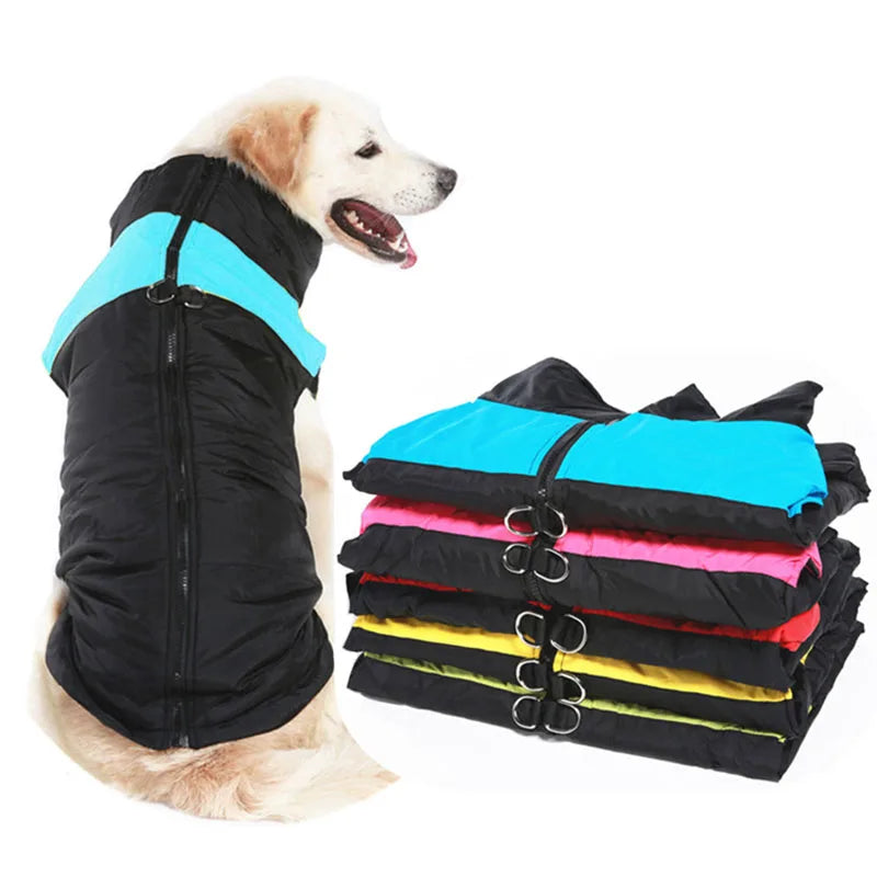 Waterproof Winter Dog Coat for All Sizes