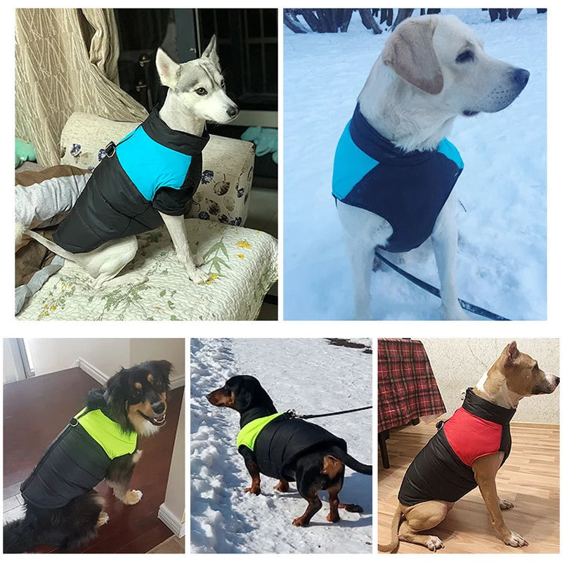Waterproof Winter Dog Coat for All Sizes