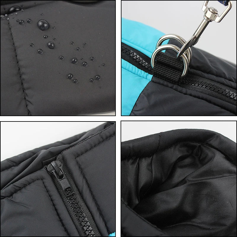 Waterproof Winter Dog Coat for All Sizes