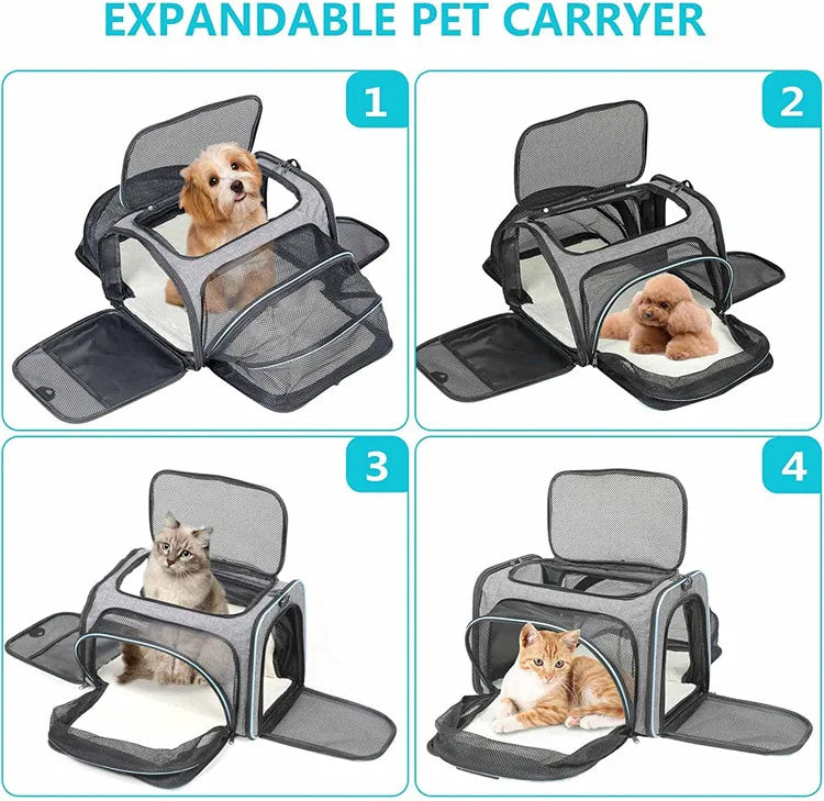 Foldable Small Pet Carrier Bag with Mesh
