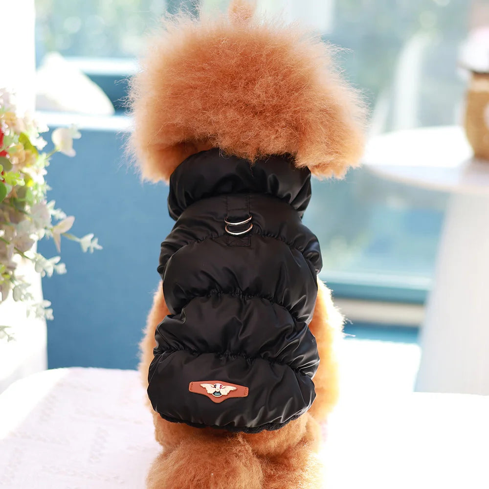 Padded Winter Dog & Cat Coat for Small Breeds