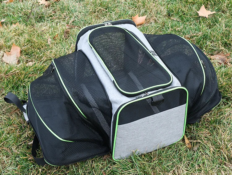 Foldable Small Pet Carrier Bag with Mesh