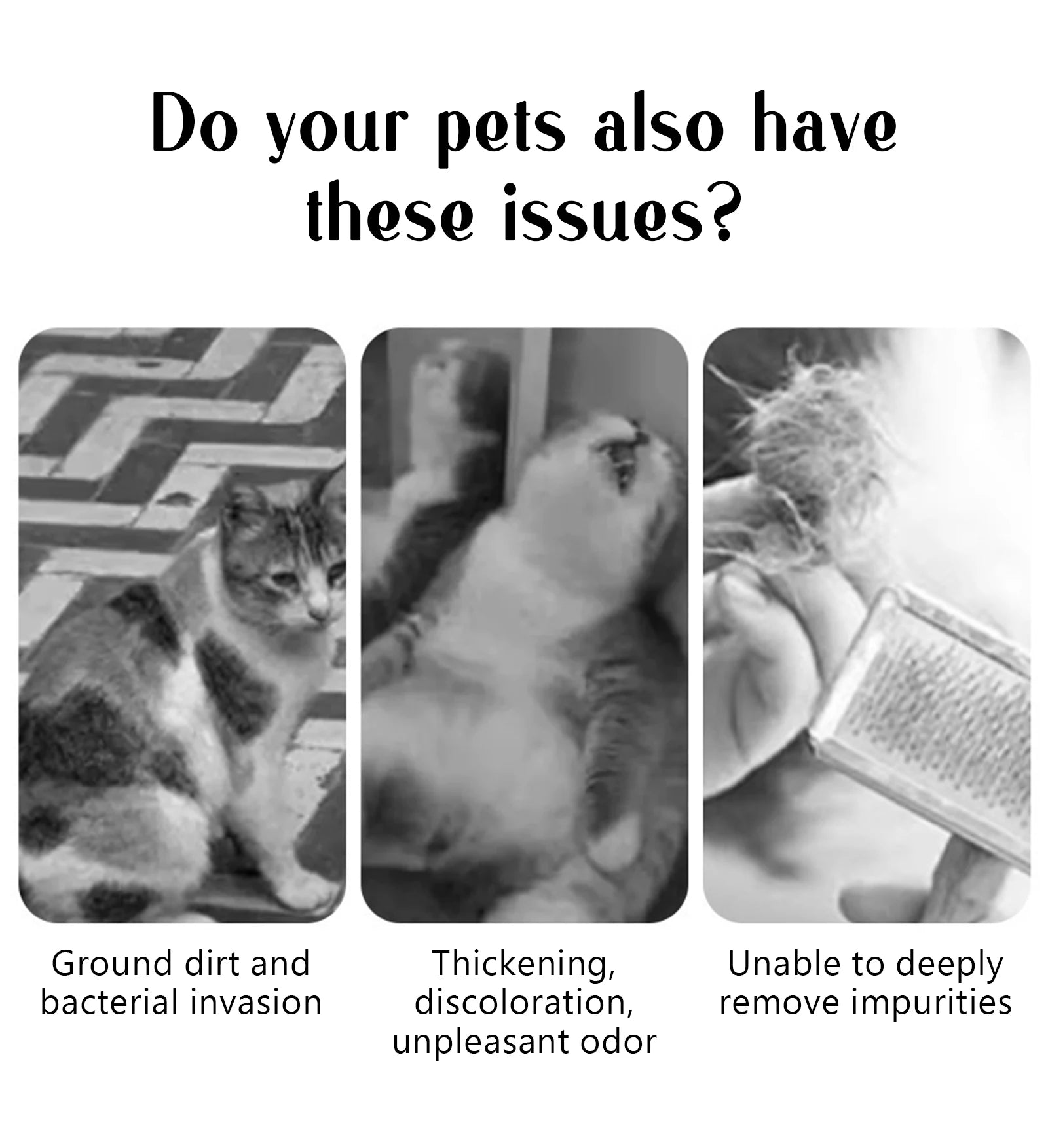 Pet Steam Massage Comb for Dogs & Cats