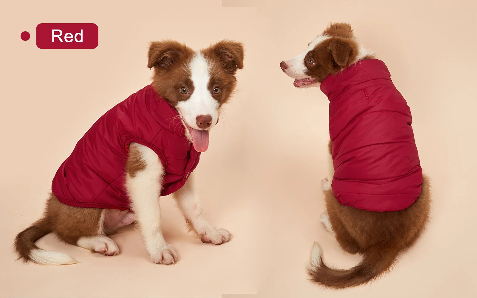 Fleece-Lined Winter Dog Jacket for Small Breeds