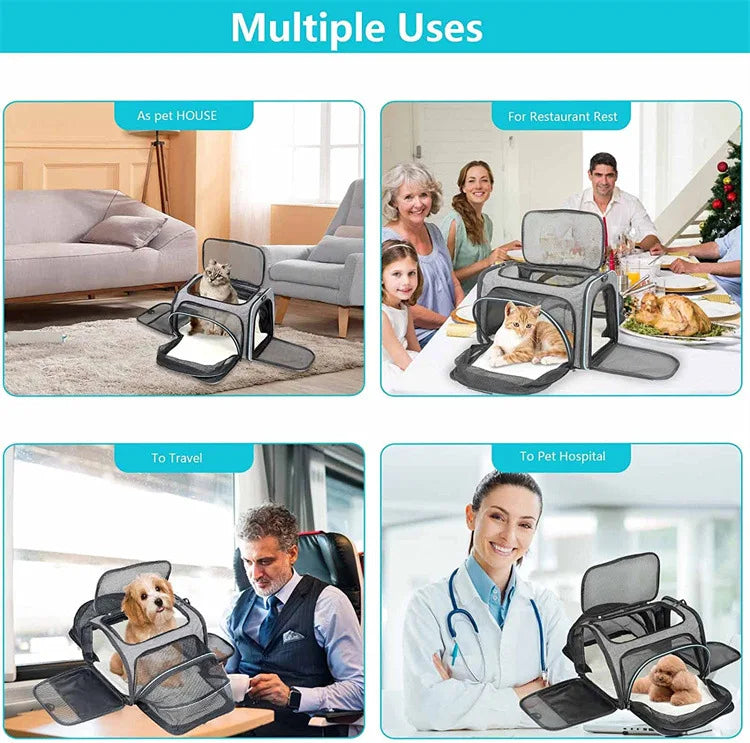 Foldable Small Pet Carrier Bag with Mesh