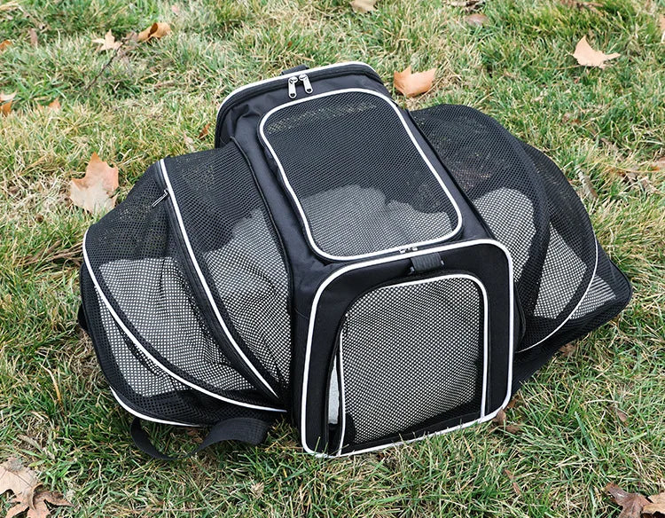 Foldable Small Pet Carrier Bag with Mesh