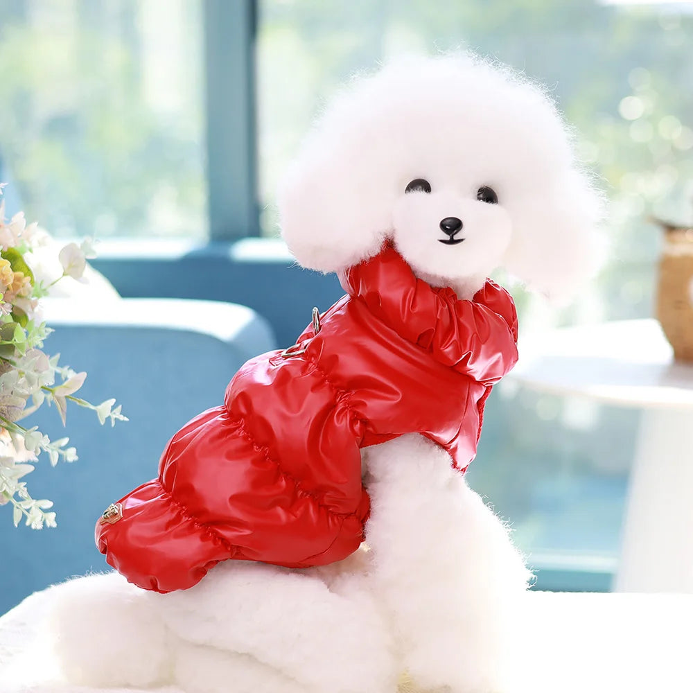 Padded Winter Dog & Cat Coat for Small Breeds