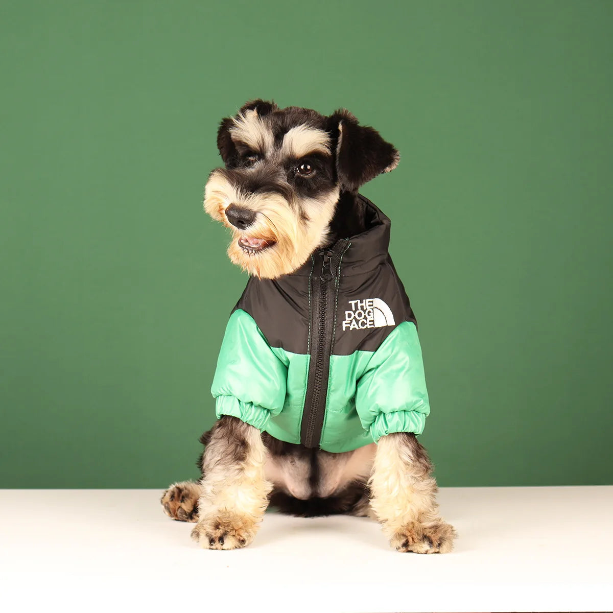 Winter Warm Dog Jacket for Small & Medium Breeds