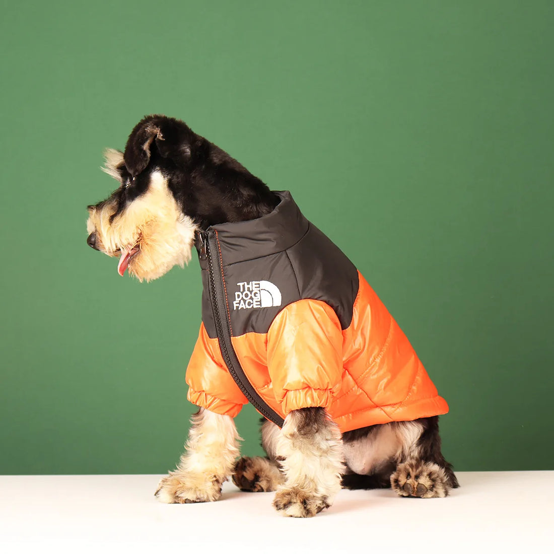 Winter Warm Dog Jacket for Small & Medium Breeds