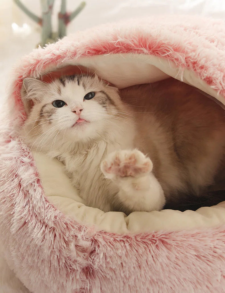 Winter Plush Shell Cat Nest Bed