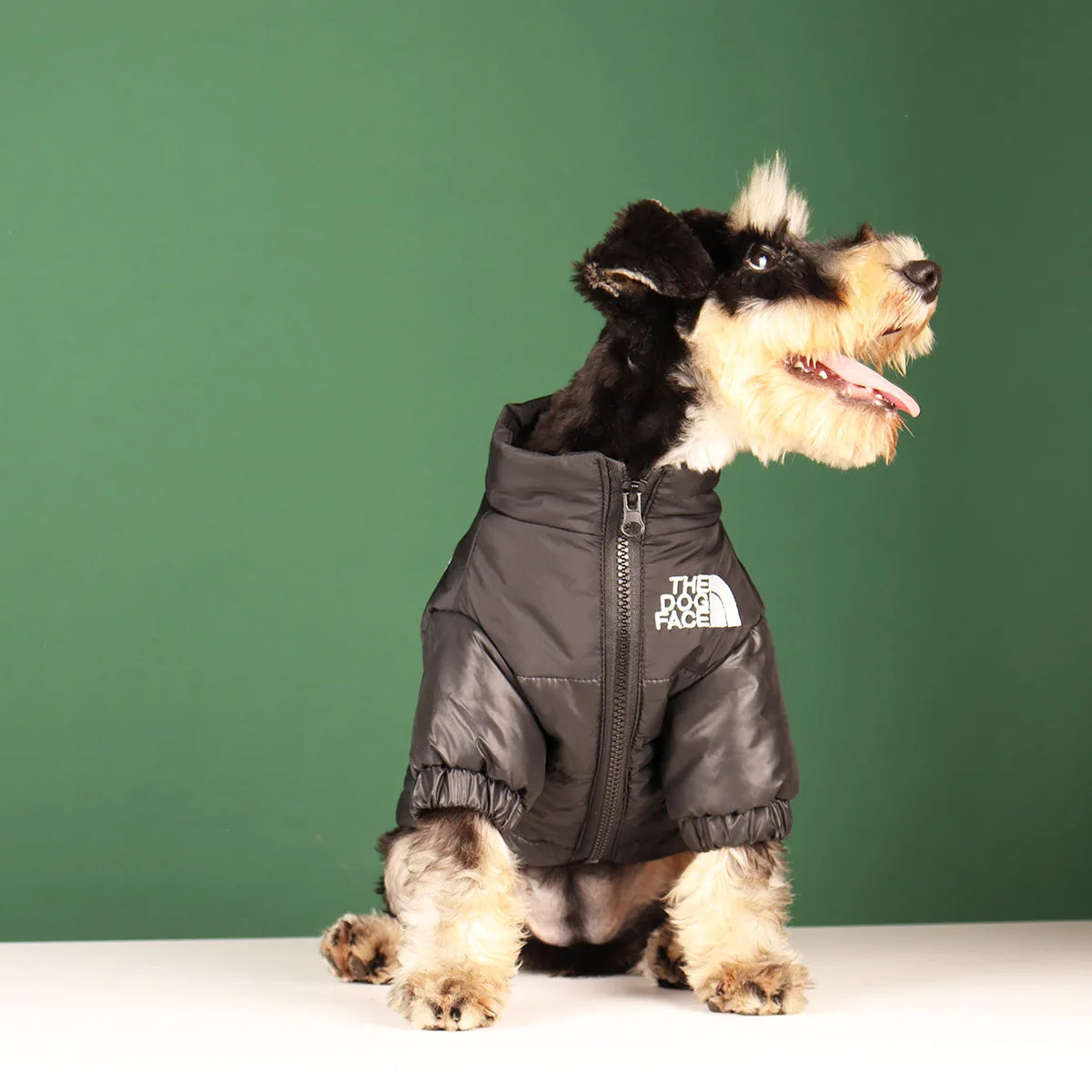 Winter Warm Dog Jacket for Small & Medium Breeds