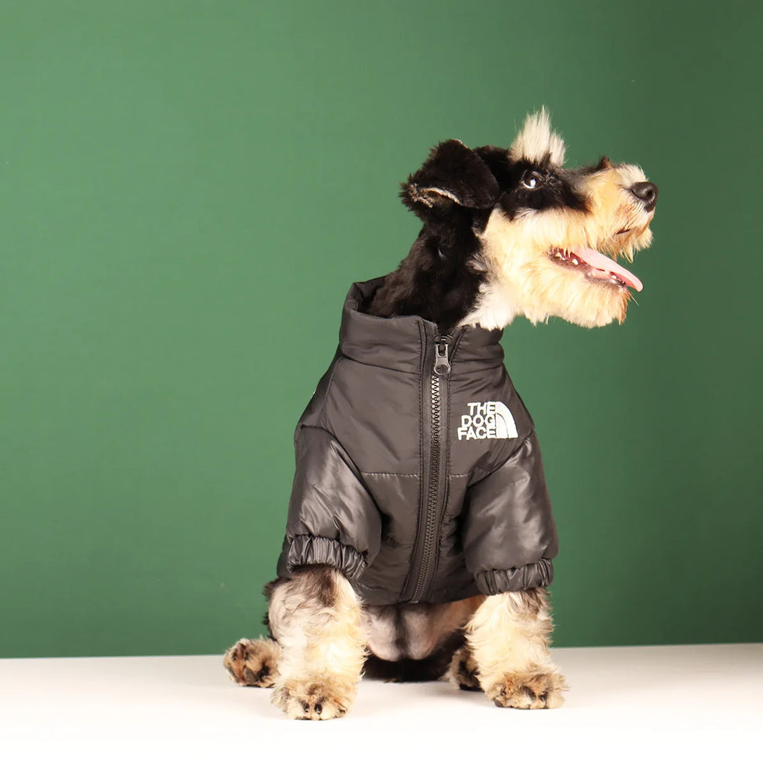 Winter Warm Dog Jacket for Small & Medium Breeds