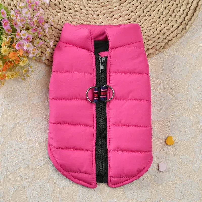 Winter Padded Dog & Cat Coat for Small Pets