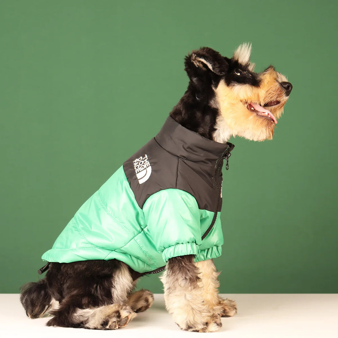 Winter Warm Dog Jacket for Small & Medium Breeds