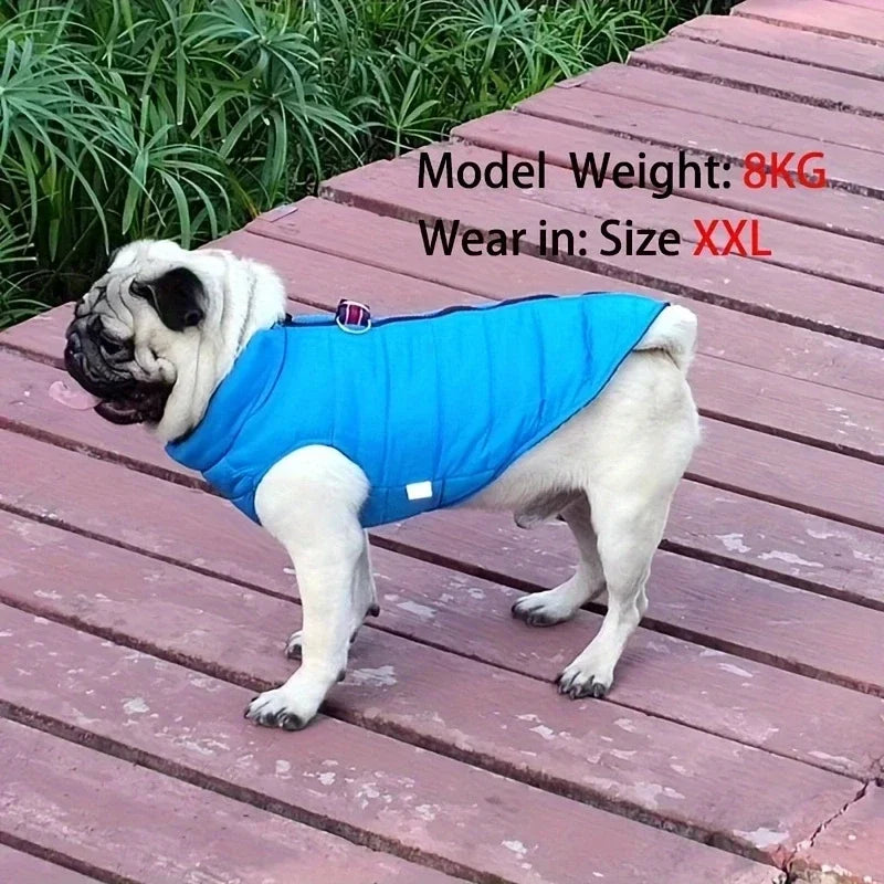 Winter Padded Dog & Cat Coat for Small Pets