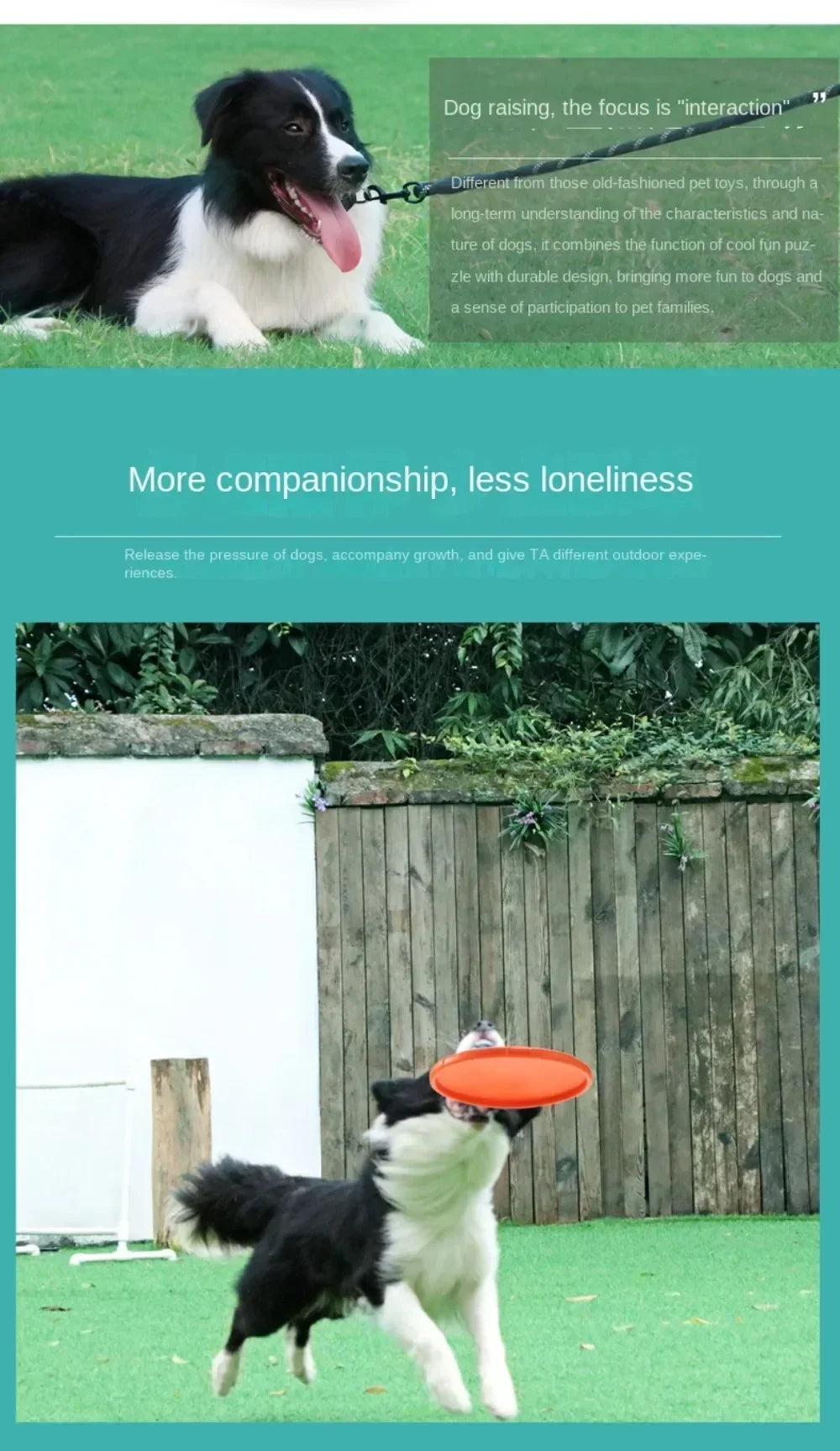 Multicolor Silicone Flying Disc Dog Toy