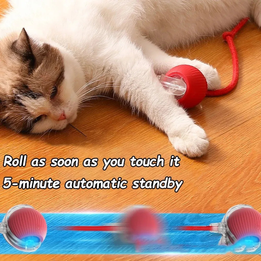 Automatic Smart Rolling Ball Cat Toy