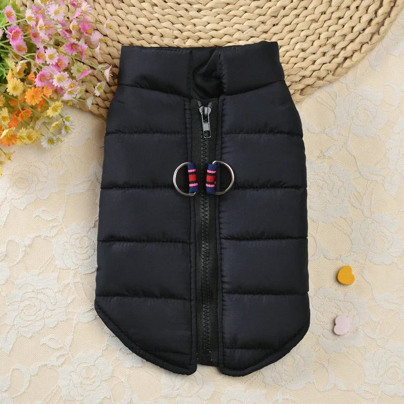 Winter Padded Dog & Cat Coat for Small Pets