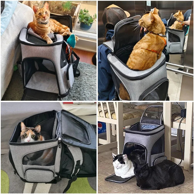 Foldable Breathable Pet Carrier Backpack for Cats & Dogs