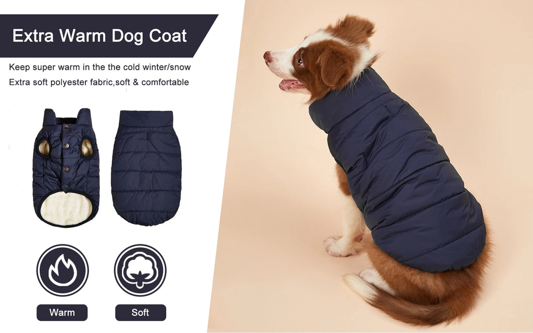 Fleece-Lined Winter Dog Jacket for Small Breeds