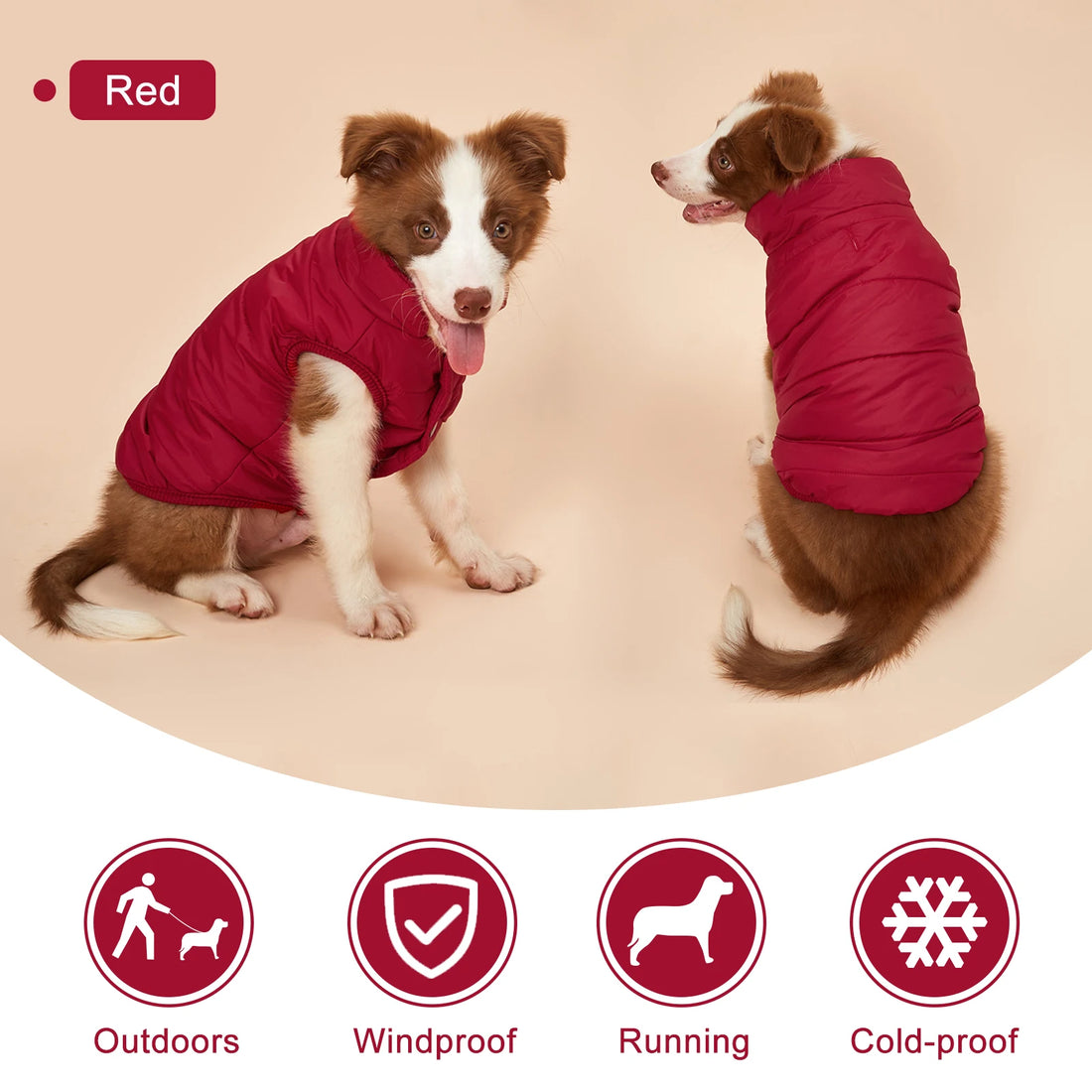 Fleece-Lined Winter Dog Jacket for Small Breeds