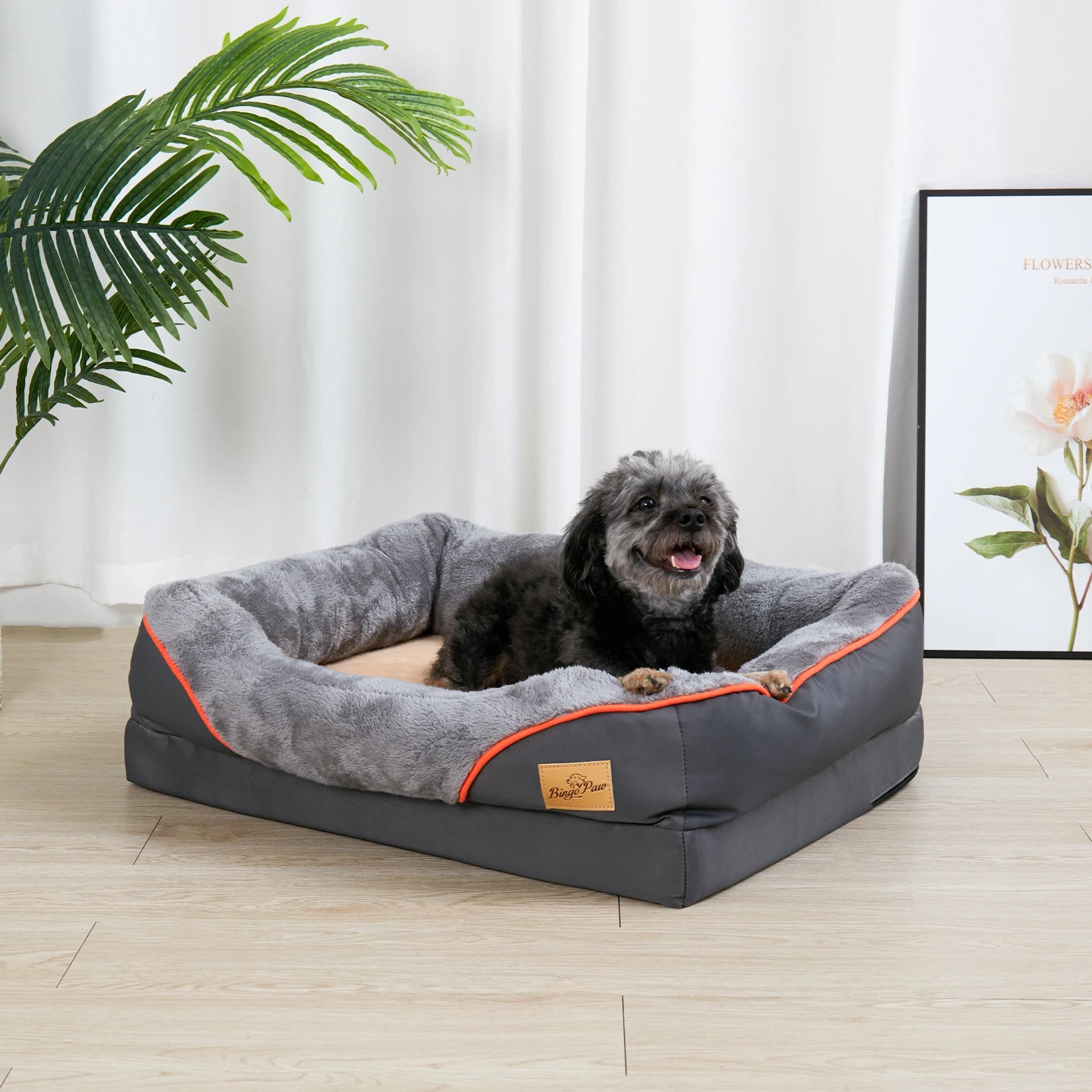 Orthopedic Foam Dog Bed with Bolster (L–3XL)
