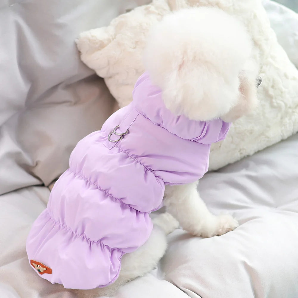 Padded Winter Dog & Cat Coat for Small Breeds