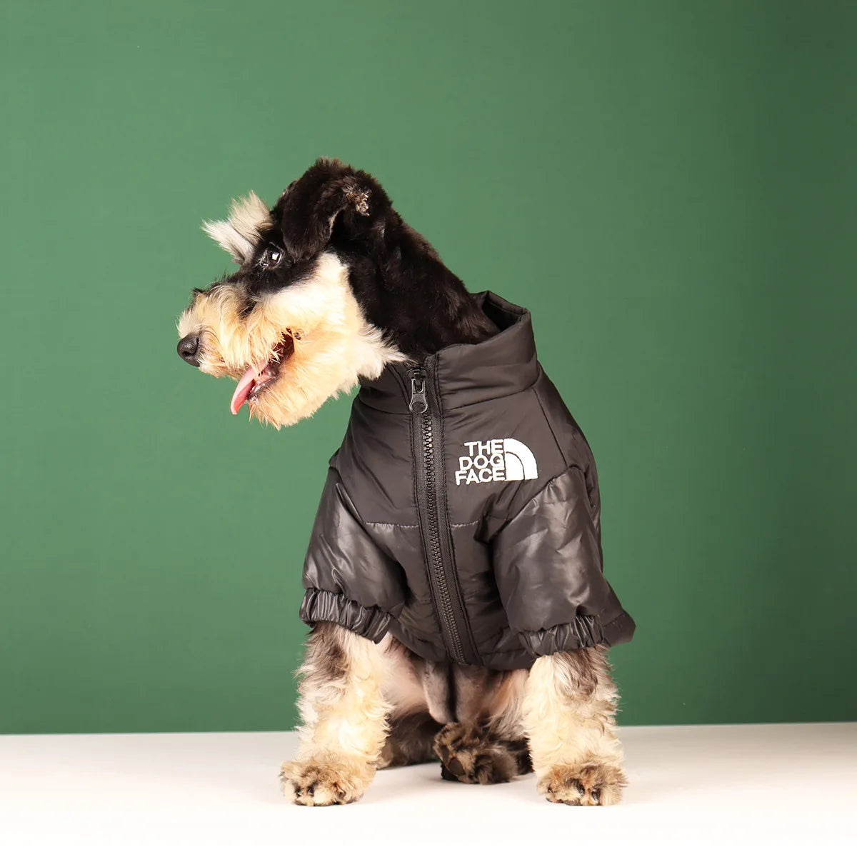 Winter Warm Dog Jacket for Small & Medium Breeds