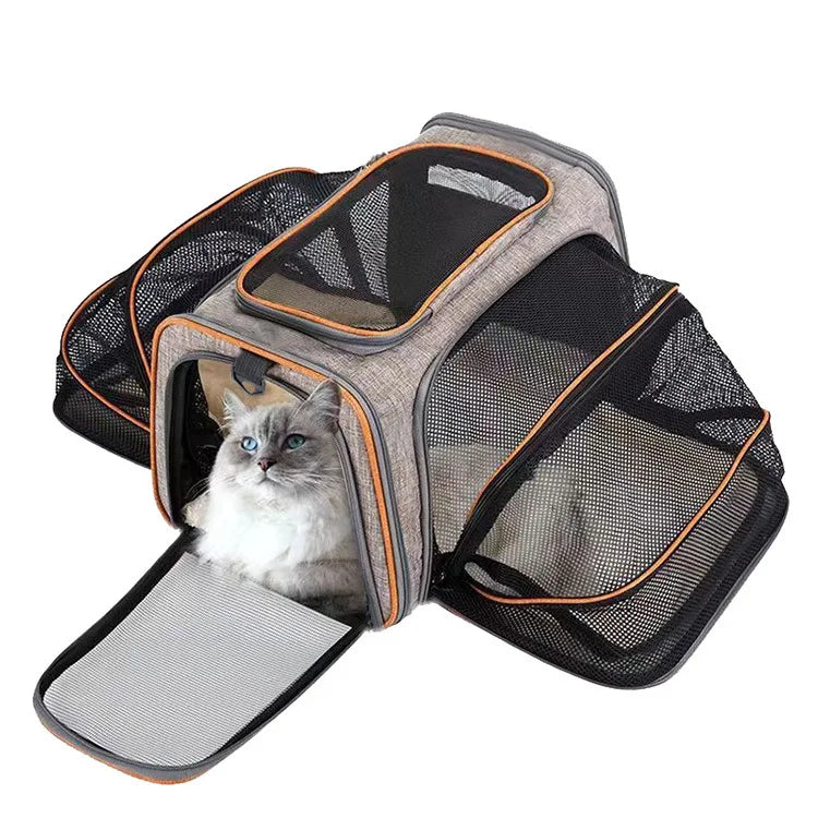Foldable Small Pet Carrier Bag with Mesh
