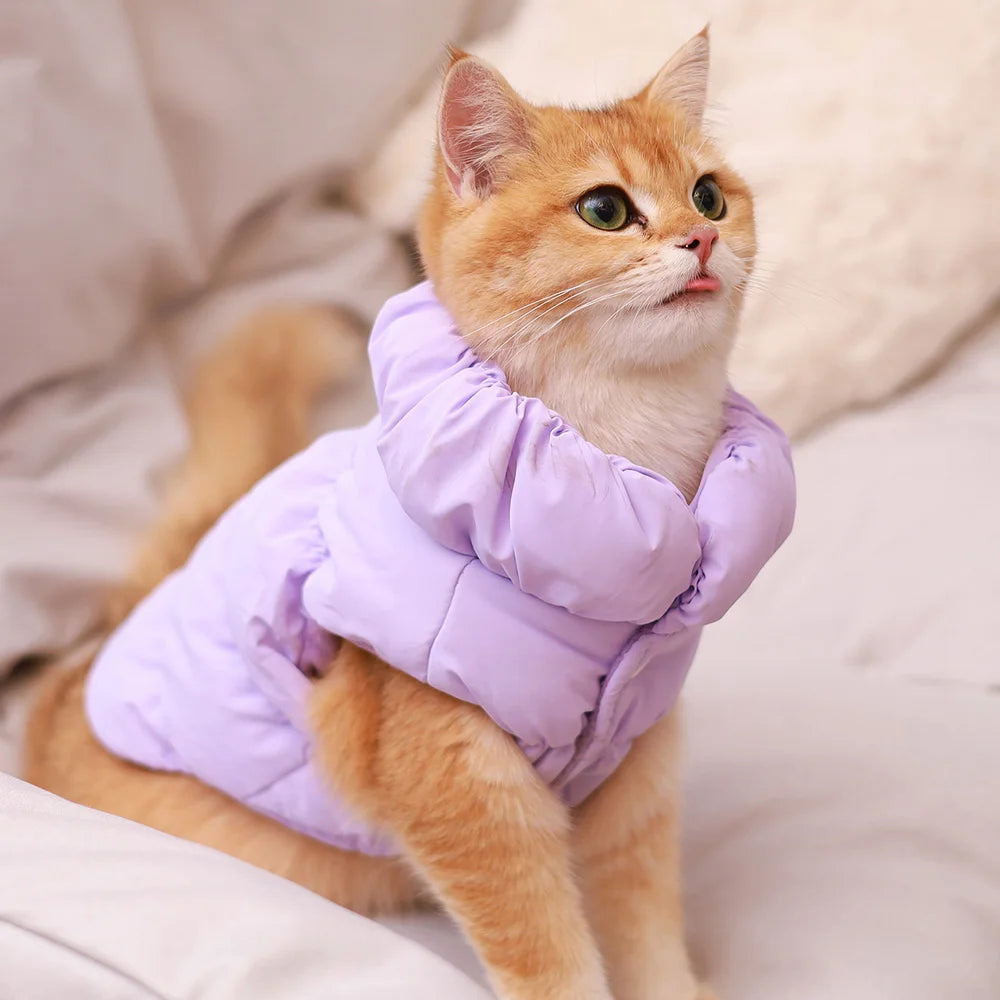 Padded Winter Dog & Cat Coat for Small Breeds