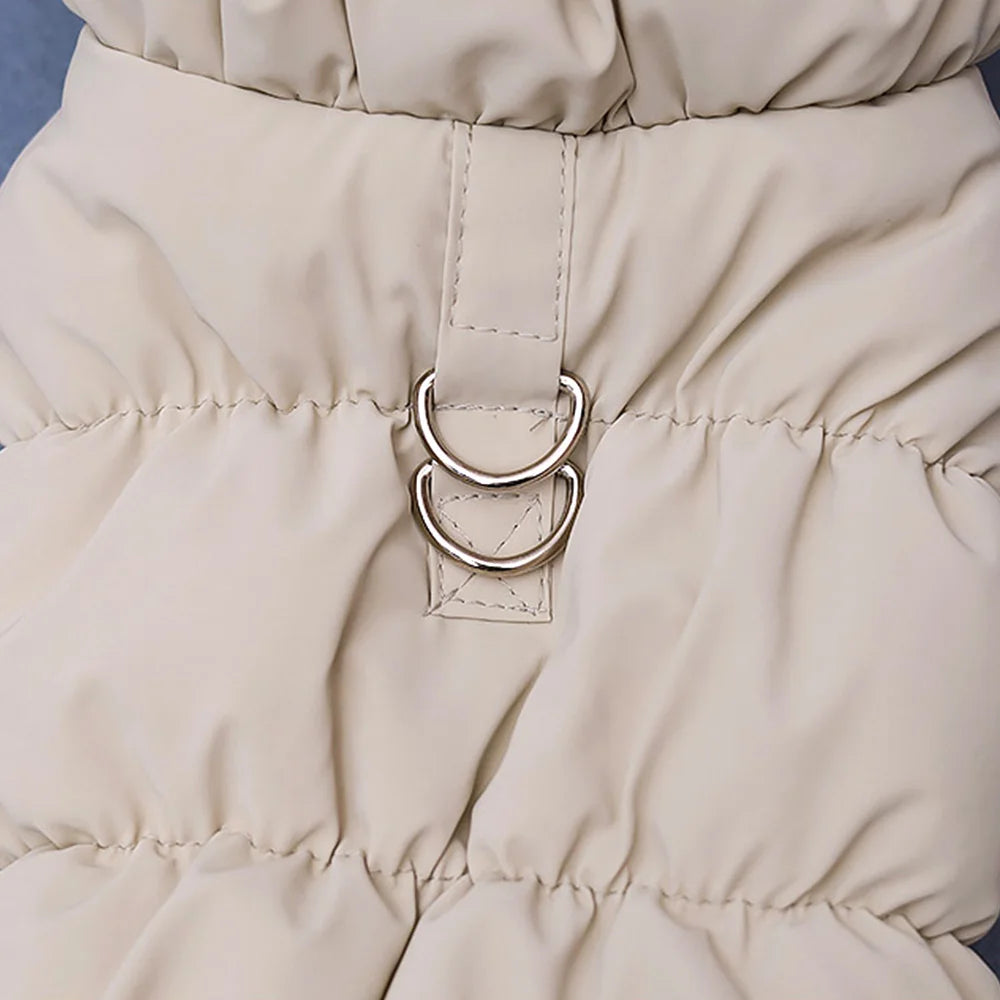 Padded Winter Dog & Cat Coat for Small Breeds