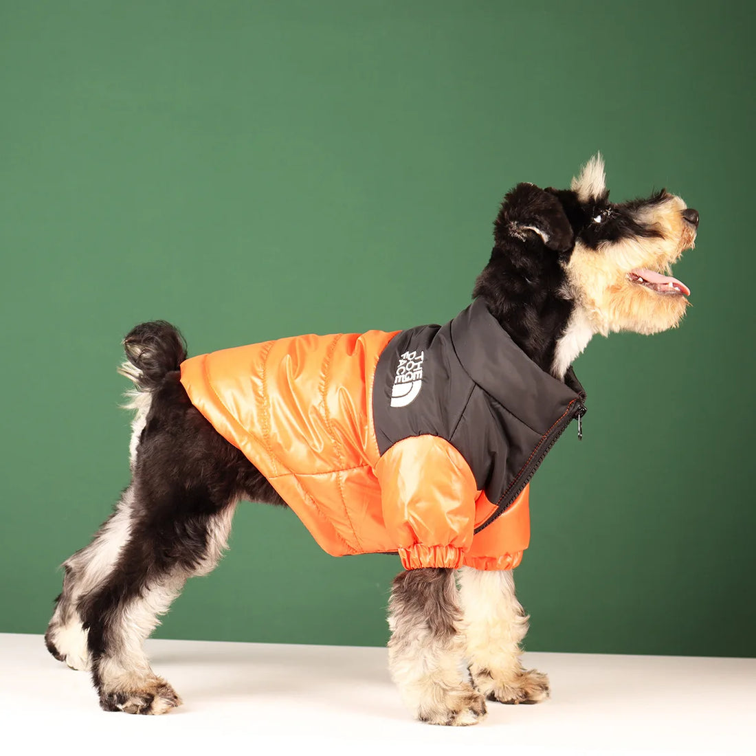 Winter Warm Dog Jacket for Small & Medium Breeds