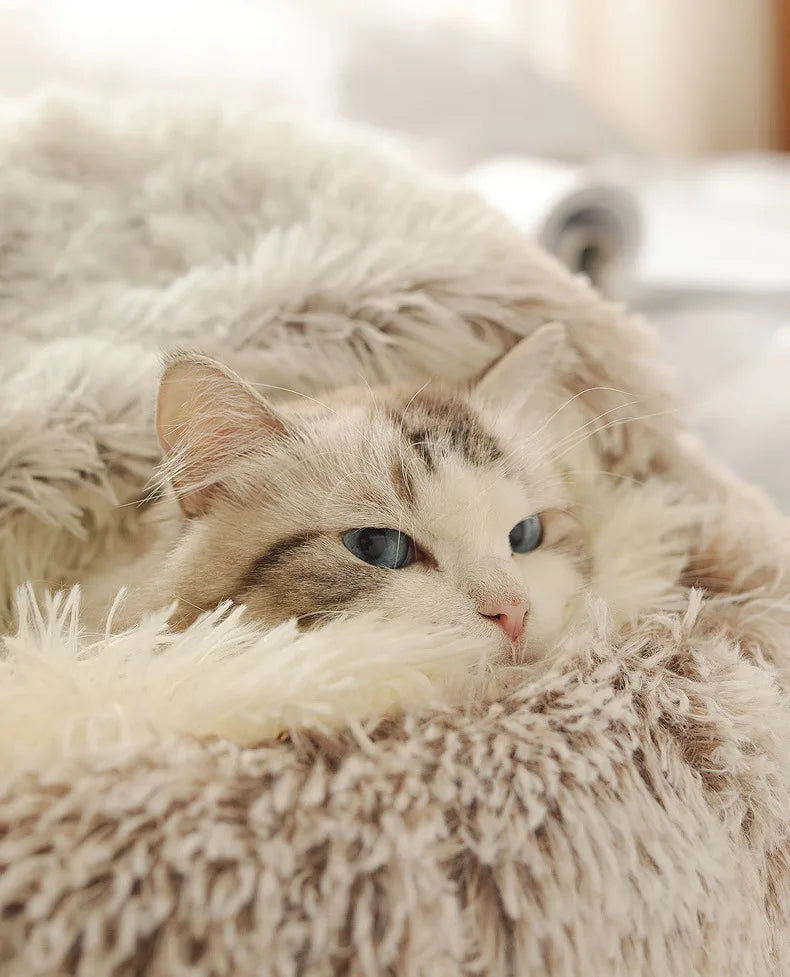 Winter Plush Shell Cat Nest Bed
