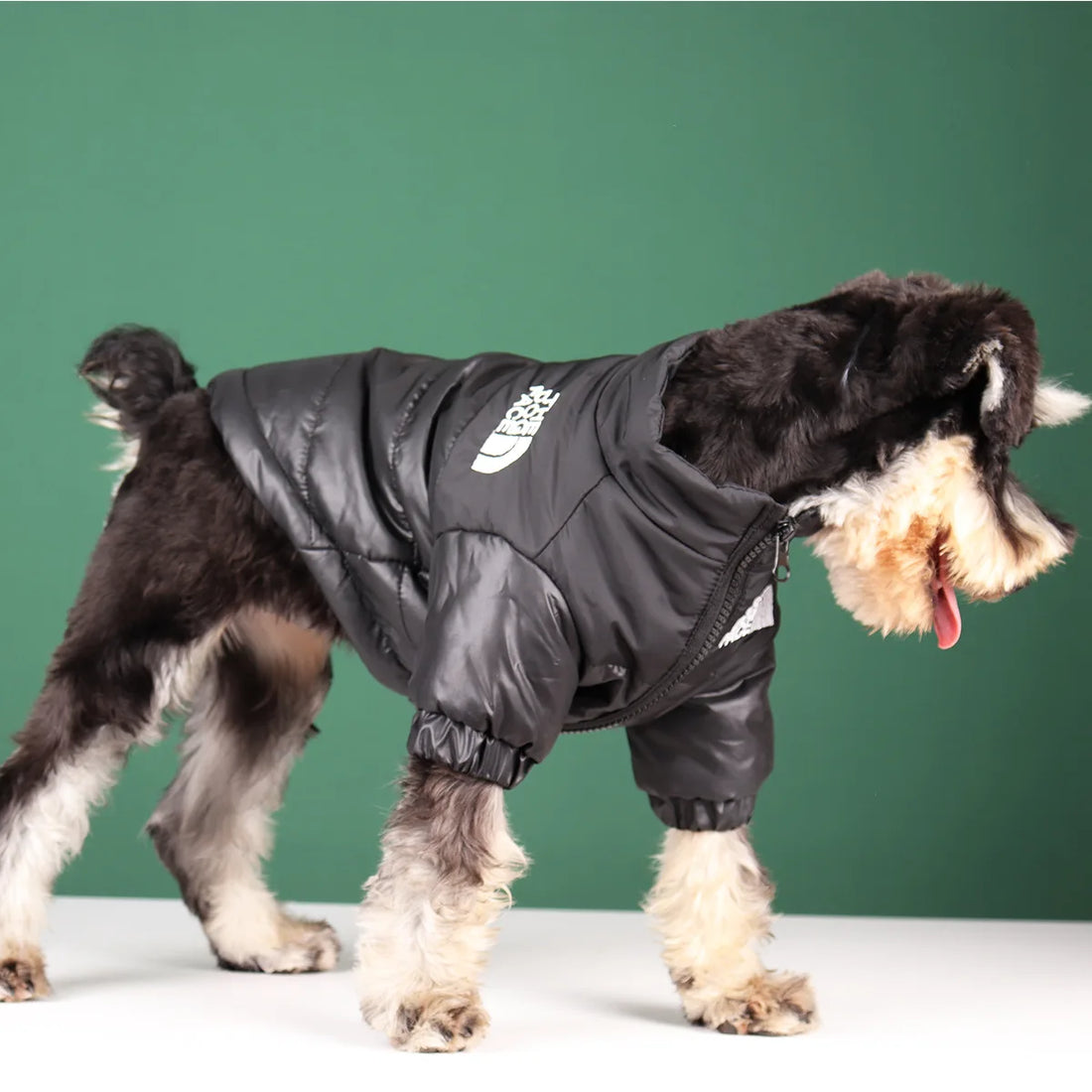 Winter Warm Dog Jacket for Small & Medium Breeds