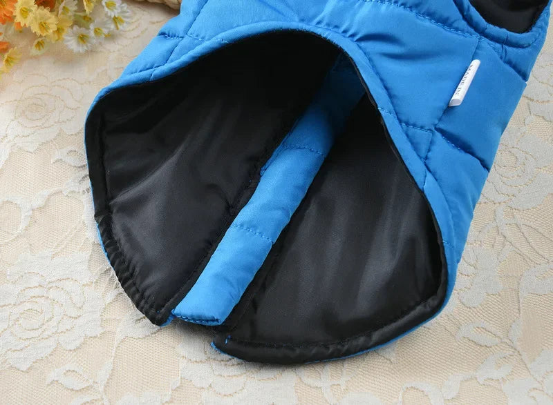 Winter Padded Dog & Cat Coat for Small Pets