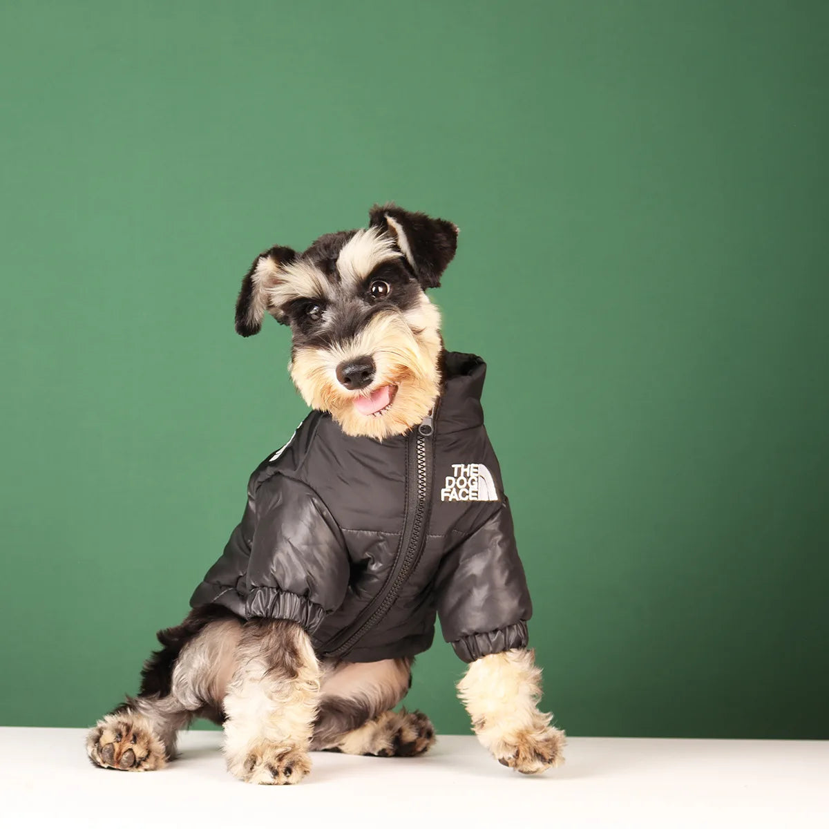 Winter Warm Dog Jacket for Small & Medium Breeds