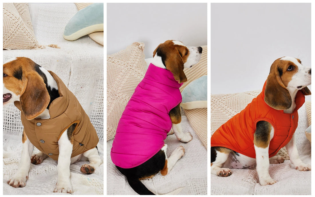 Fleece-Lined Winter Dog Jacket for Small Breeds