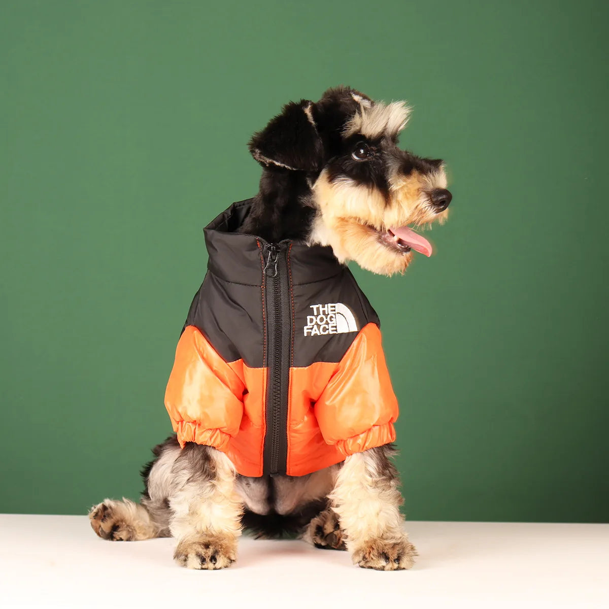 Winter Warm Dog Jacket for Small & Medium Breeds