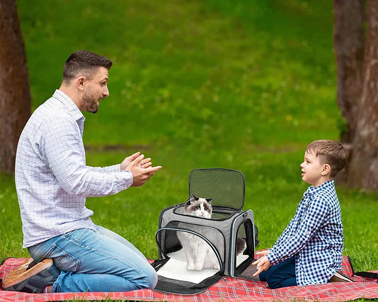 Foldable Small Pet Carrier Bag with Mesh