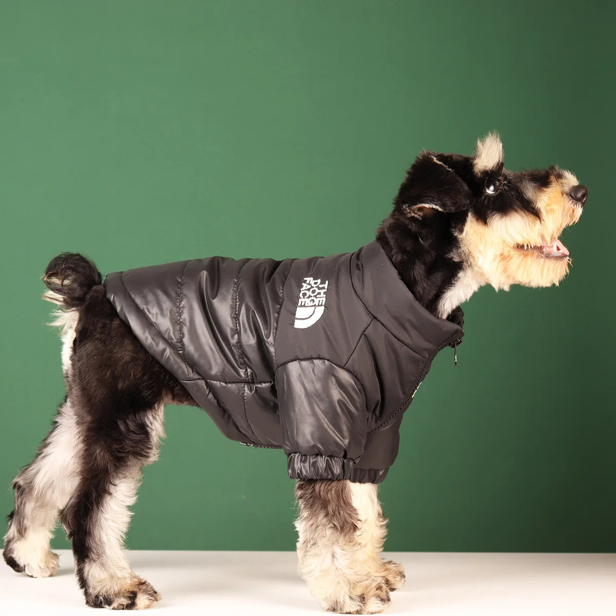 Winter Warm Dog Jacket for Small & Medium Breeds