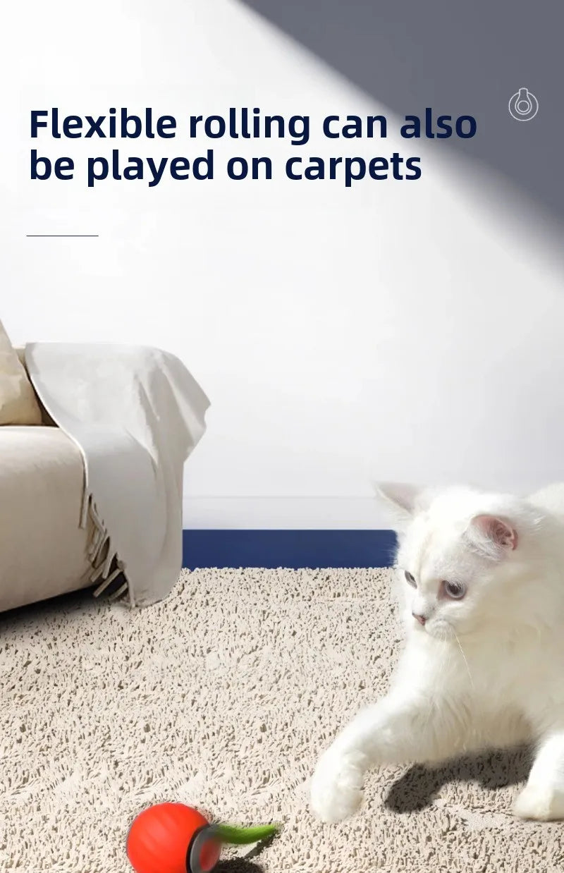 USB Rechargeable Smart Rolling Ball Cat Toy