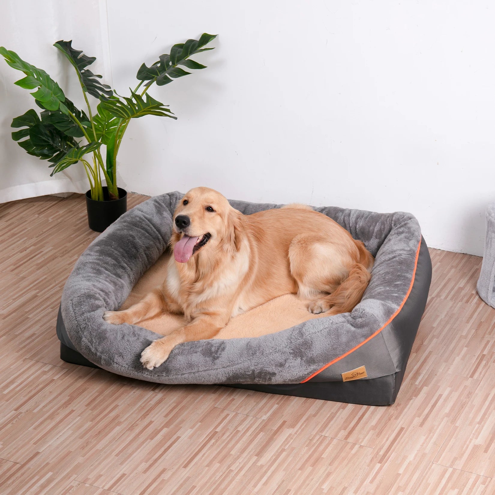 Orthopedic Foam Dog Bed with Bolster (L–3XL)