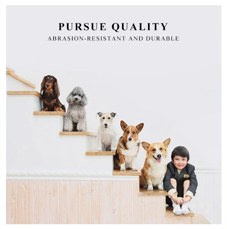 Portable Mesh Pet Carrier Bag for Dogs & Cats