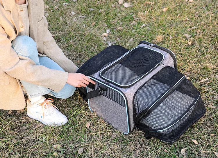 Foldable Small Pet Carrier Bag with Mesh