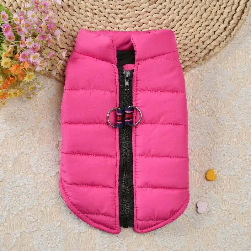 Winter Padded Dog & Cat Coat for Small Pets