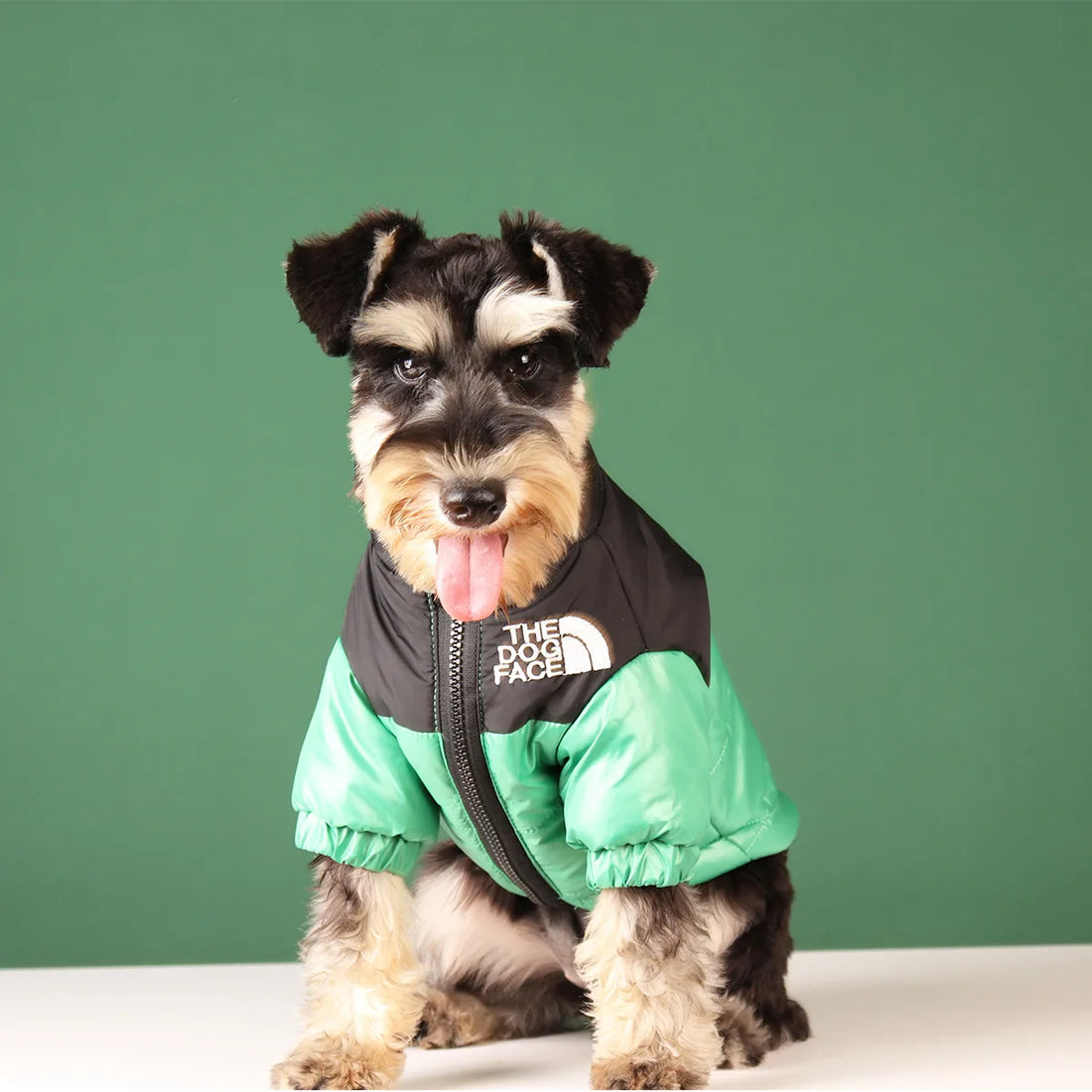 Winter Warm Dog Jacket for Small & Medium Breeds