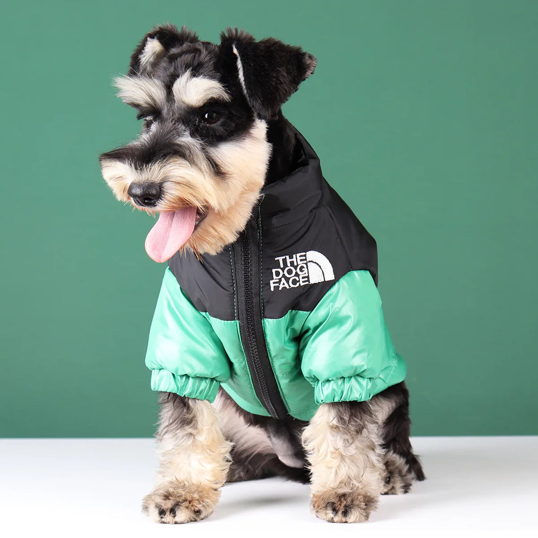 Winter Warm Dog Jacket for Small & Medium Breeds