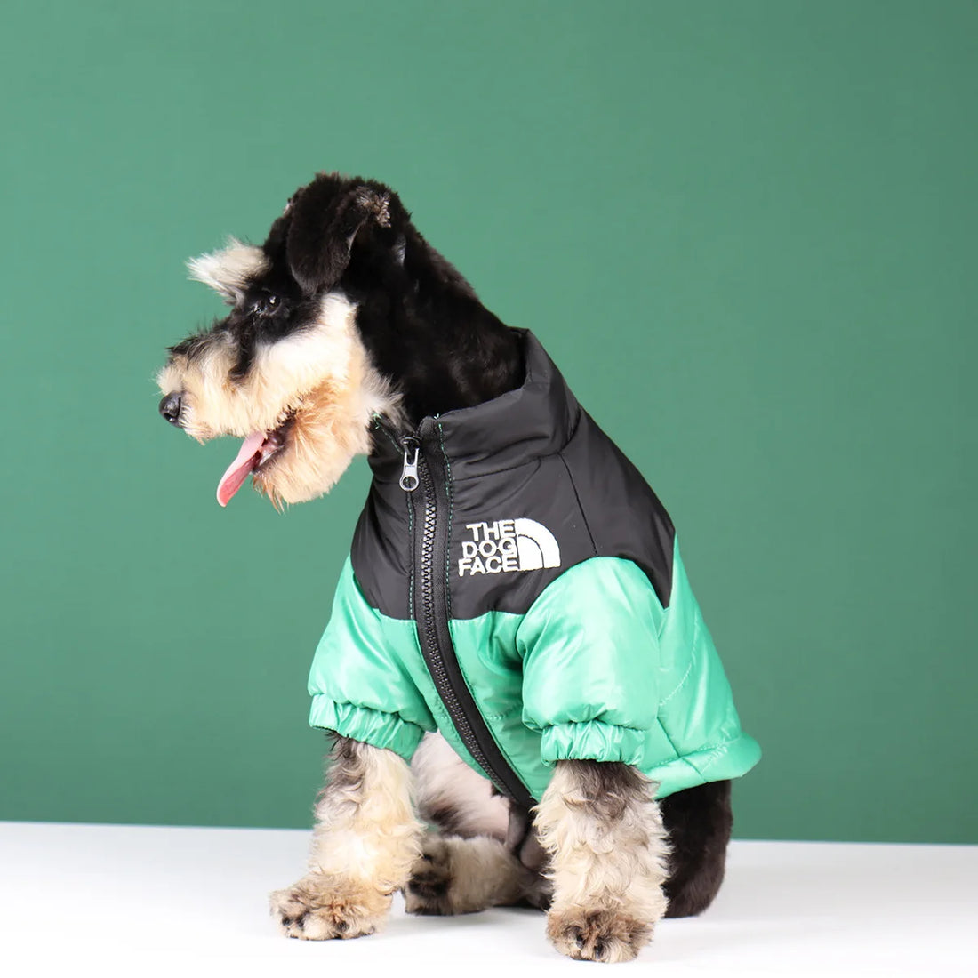 Winter Warm Dog Jacket for Small & Medium Breeds