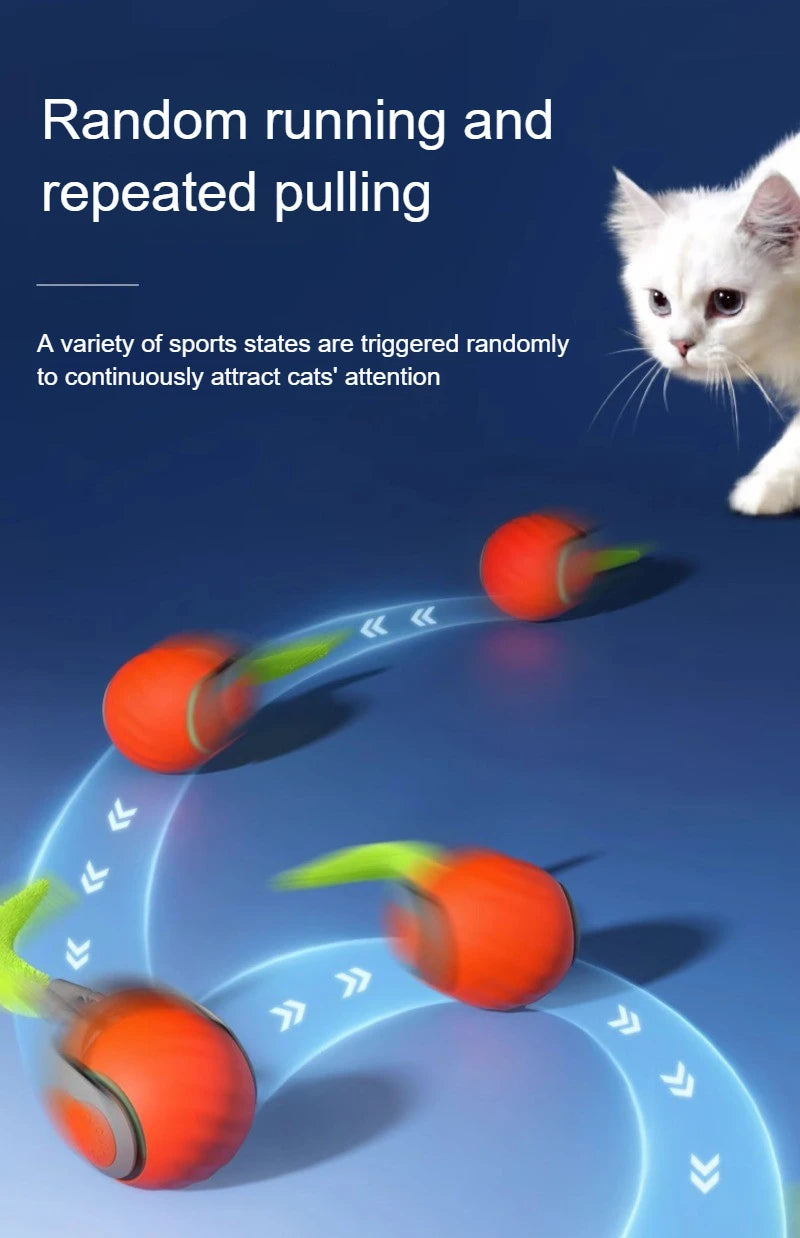 USB Rechargeable Smart Rolling Ball Cat Toy